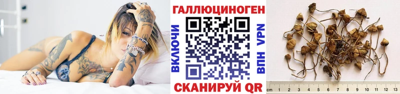 Галлюциногенные грибы мухоморы  где купить   Ядрин 